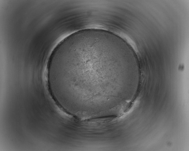 X0000103161125200808221348