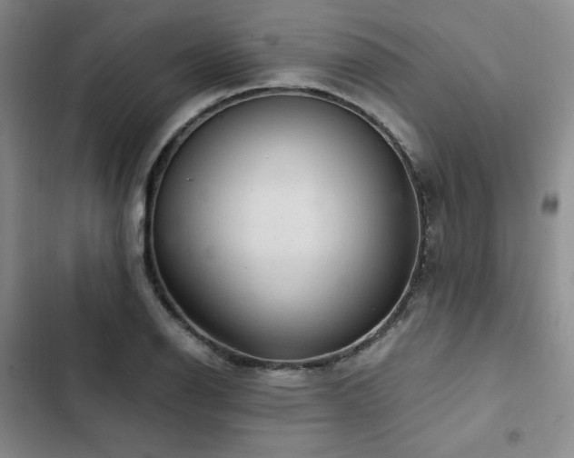 X0000103161126200808221348