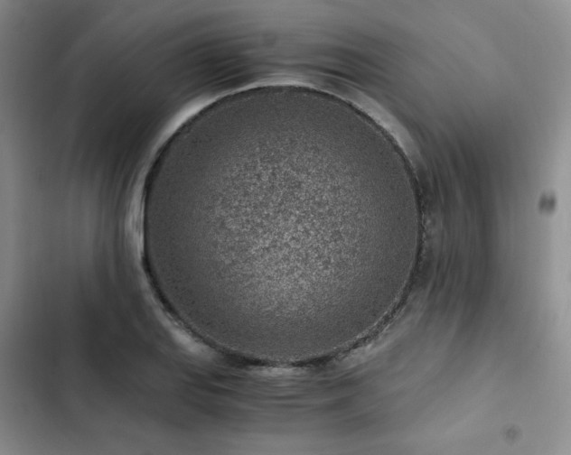 X0000103161127200808221348