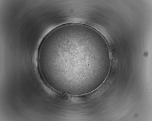 X0000103161128200808221348