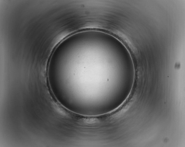 X0000103161129200808221348
