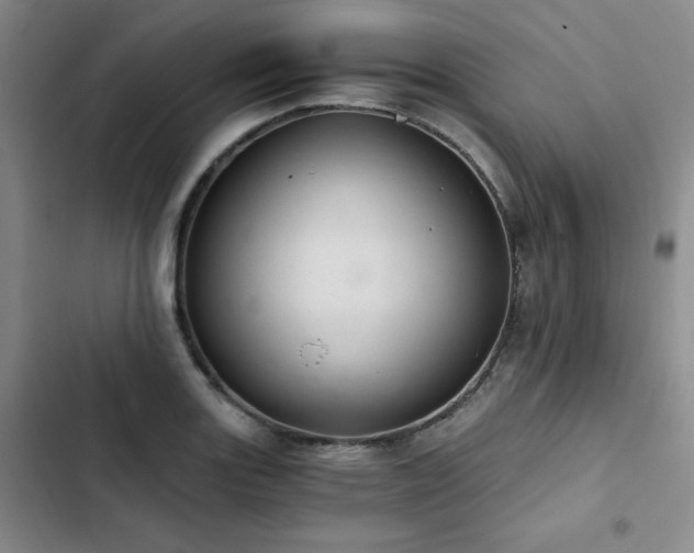 X0000103161131200808221348