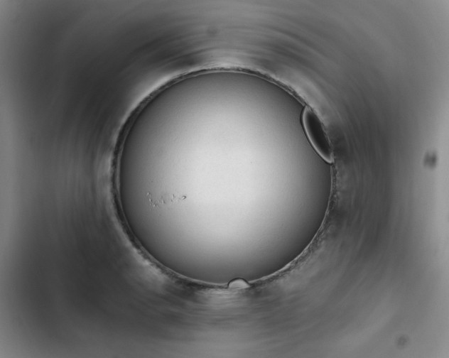 X0000103161134200808221348
