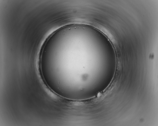 X0000103161136200808221348