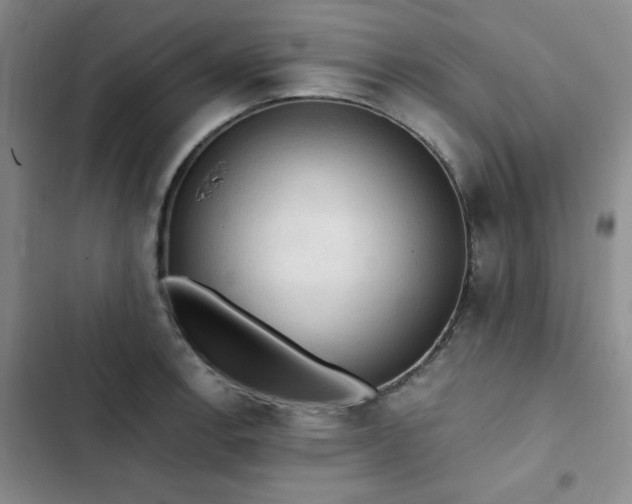 X0000103161138200808221348