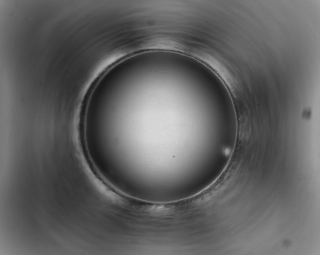 X0000103161139200808221348