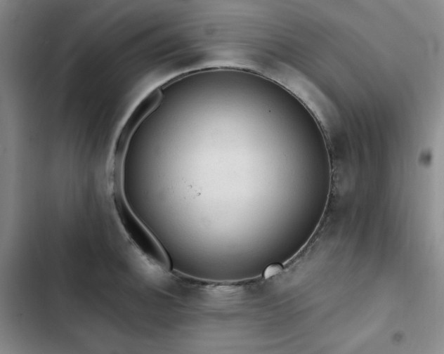 X0000103161140200808221348