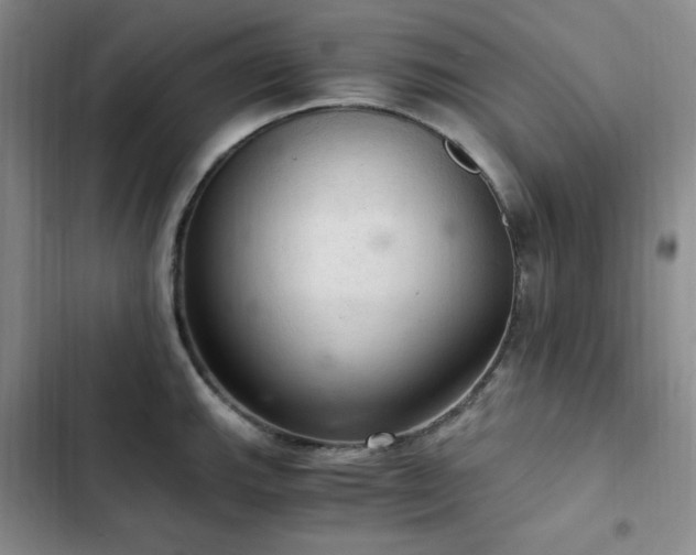 X0000103161143200808221348