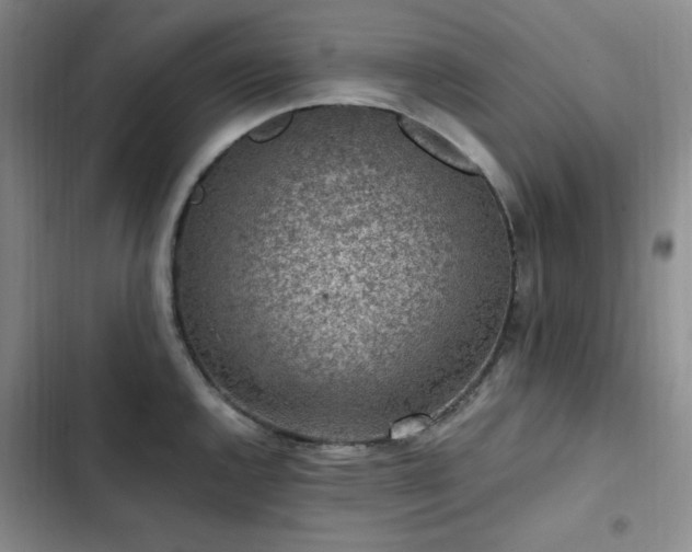 X0000103161144200808221348