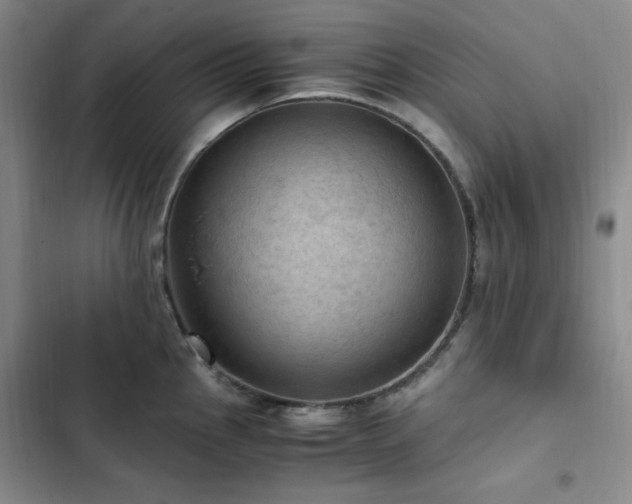 X0000103161145200808221348