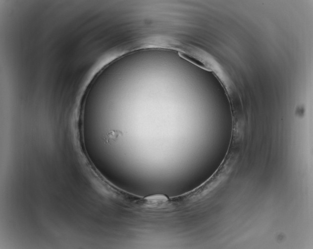 X0000103161146200808221348
