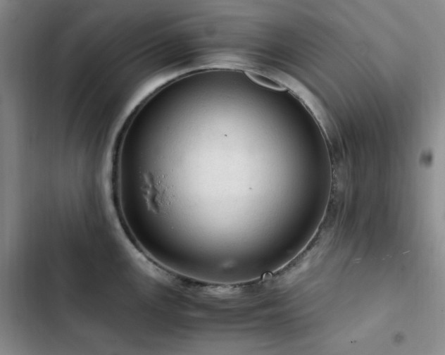 X0000103161147200808221348
