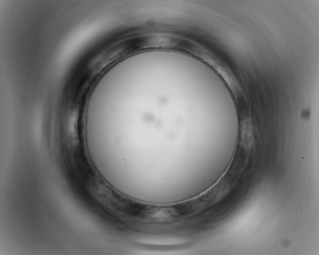 X0000103161150200808221348