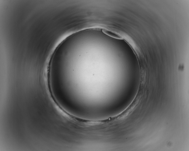 X0000103161151200808221348