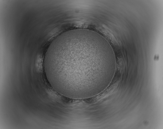 X0000103161154200808221347