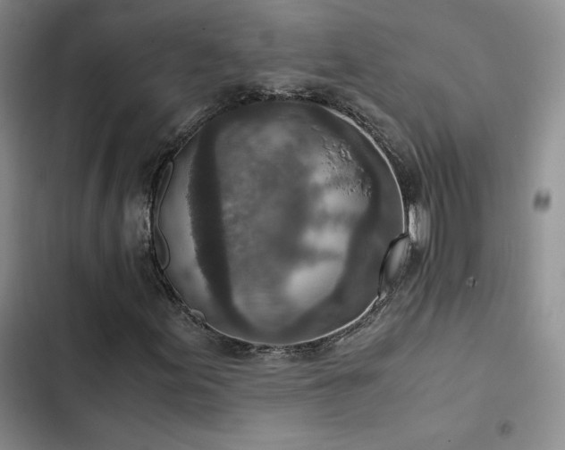 X0000103161155200808221347