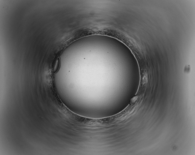 X0000103161156200808221347