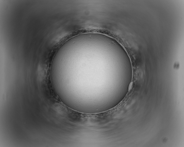 X0000103161157200808221347