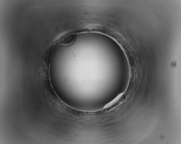X0000103161158200808221347