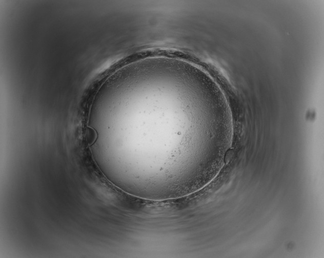 X0000103161159200808221347