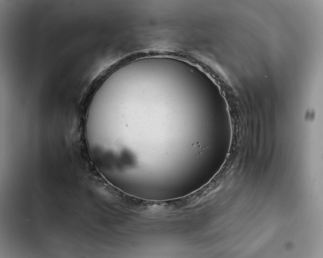 X0000103161160200808221347