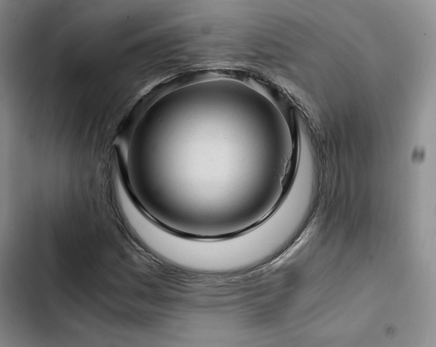 X0000103161161200808221347