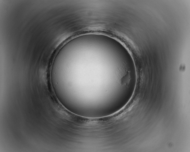 X0000103161162200808221347