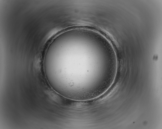 X0000103161163200808221347