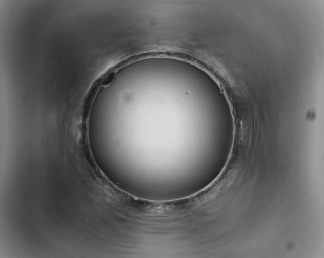 X0000103161165200808221347