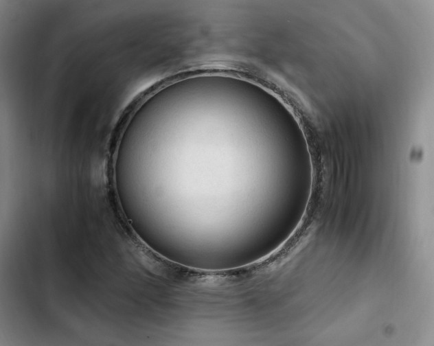 X0000103161166200808221347