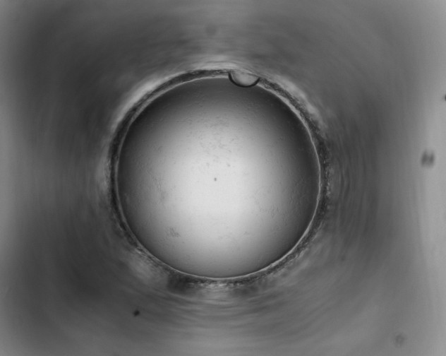 X0000103161167200808221347