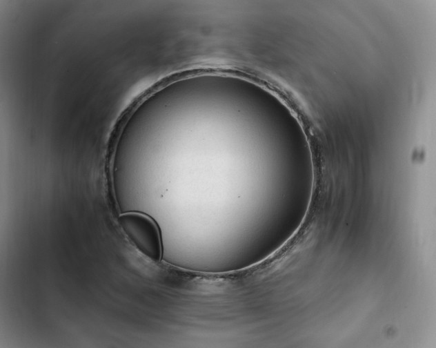 X0000103161168200808221347