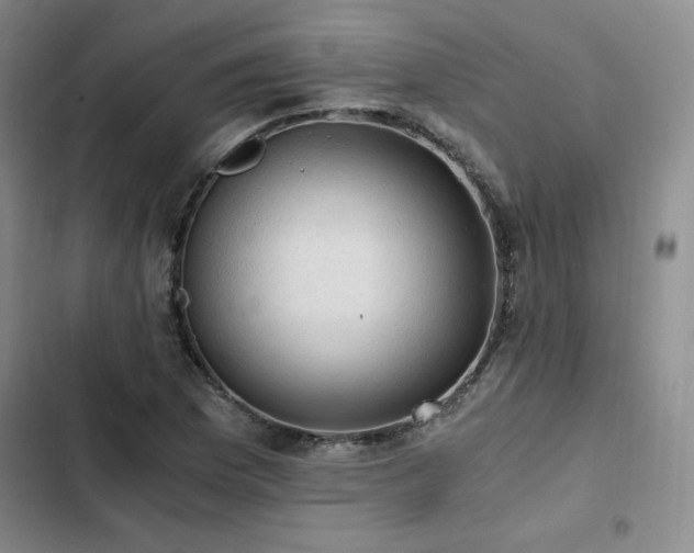 X0000103161169200808221347