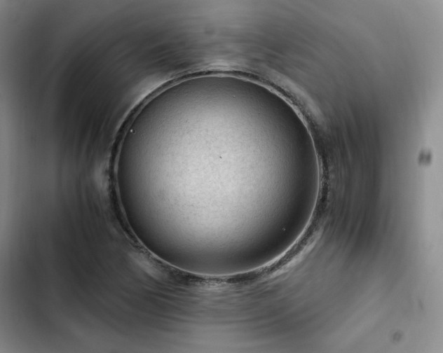 X0000103161170200808221347