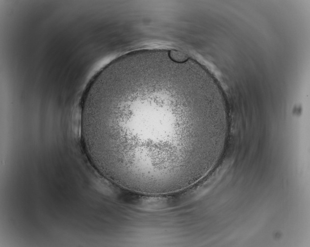 X0000103161171200808221347