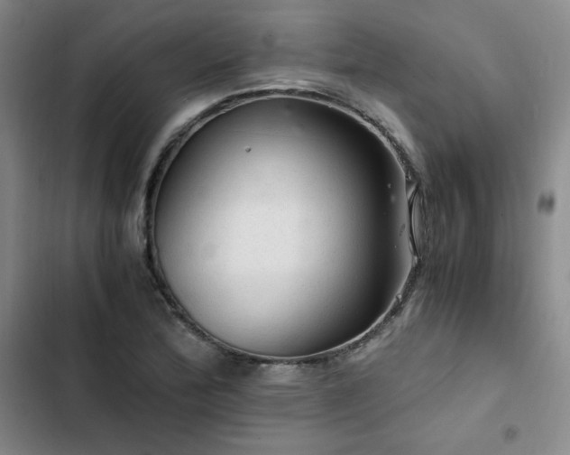 X0000103161172200808221347