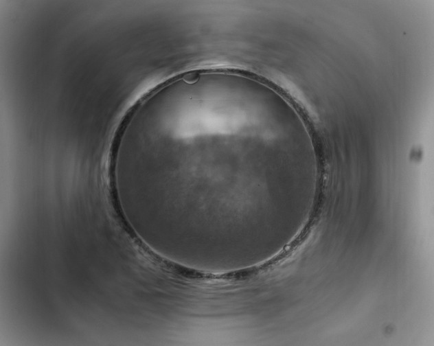 X0000103161173200808221347
