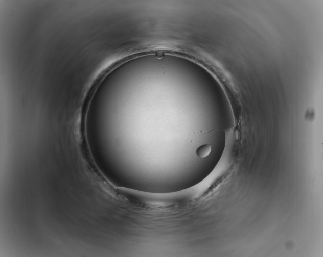 X0000103161174200808221347