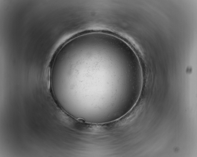 X0000103161175200808221347