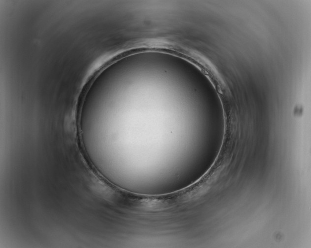 X0000103161176200808221347