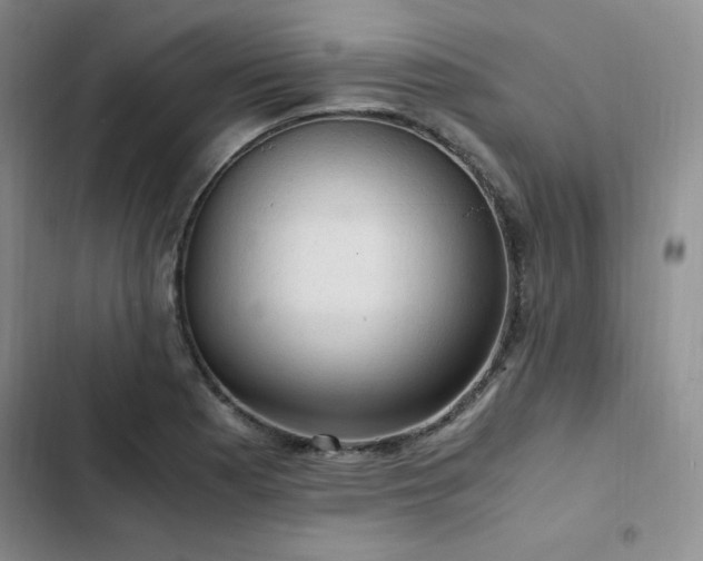 X0000103161177200808221347