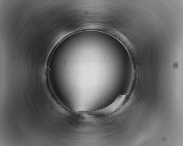 X0000103161178200808221347