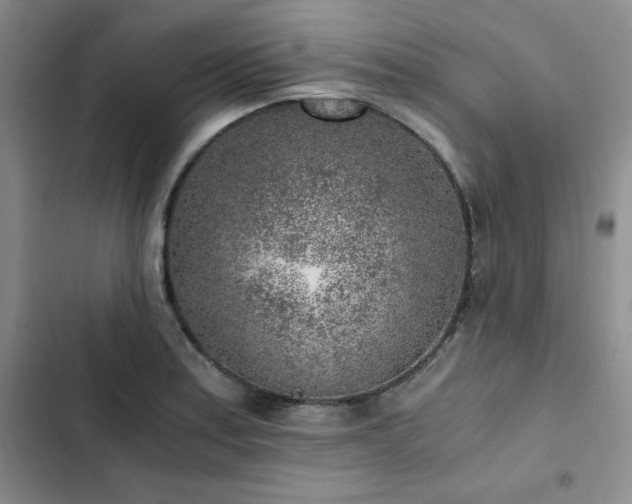 X0000103161179200808221347
