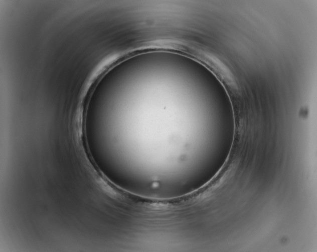 X0000103161180200808221347