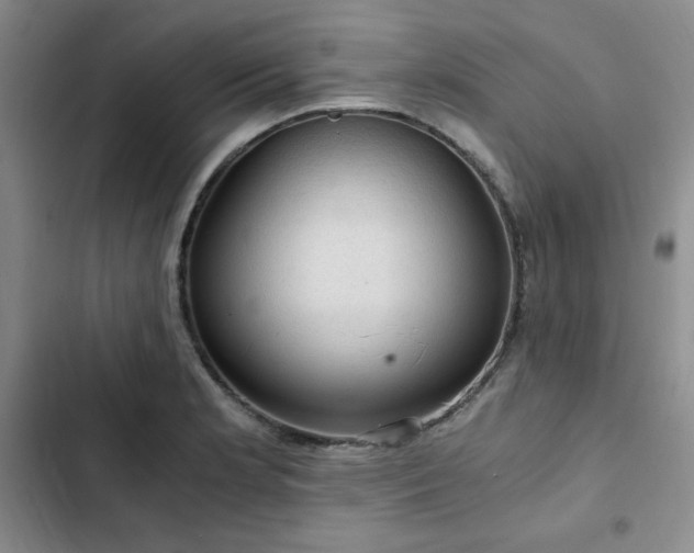 X0000103161181200808221347