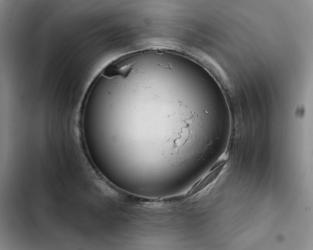 X0000103161182200808221347