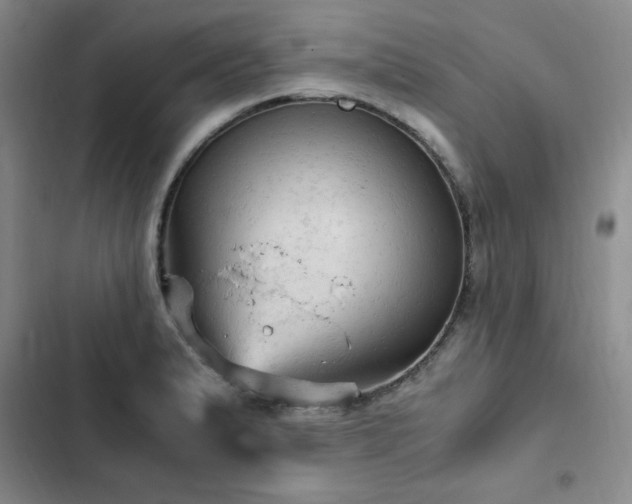 X0000103161183200808221347