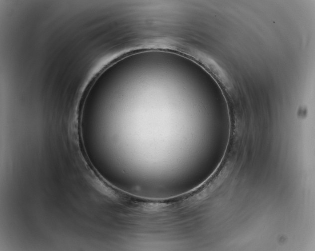 X0000103161184200808221347
