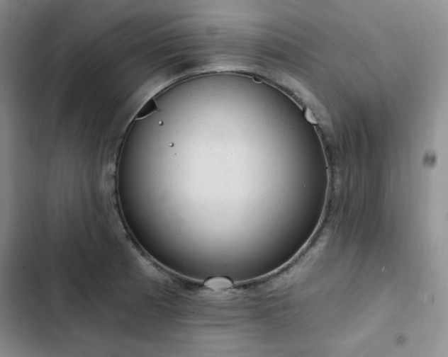 X0000103161185200808221347