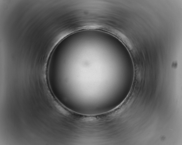 X0000103161186200808221347